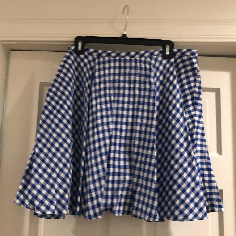 Blue gingham JCrew skirt